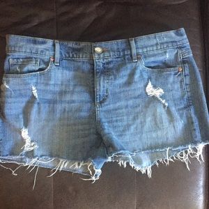 Loft Distressed Jean Shorts Size 31/12